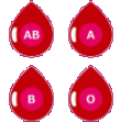 血液型A B AB O
